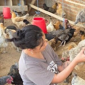 La Criadora De Gallinas